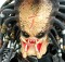 Hot Toys MMS 18 AVP - Scar Predator (Ani-Com Exclusive)